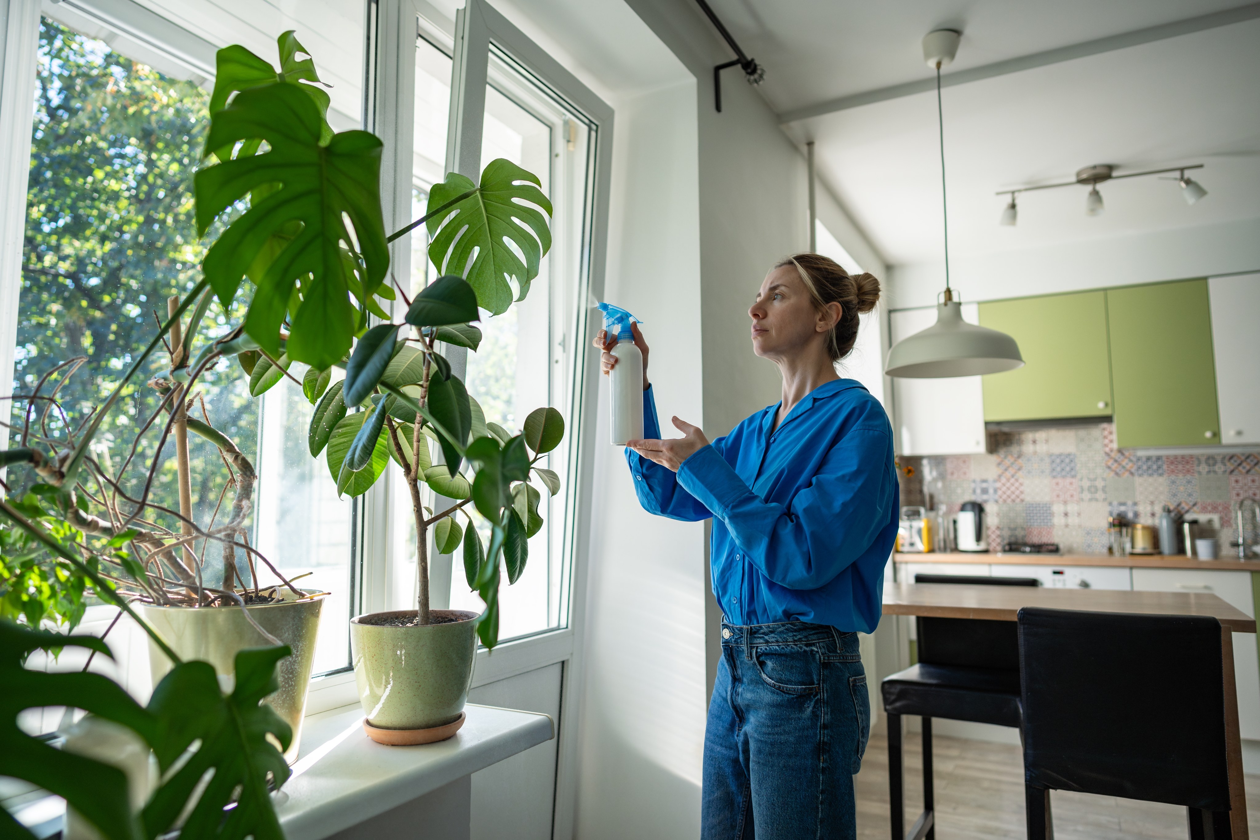 shutterstock_2601995119