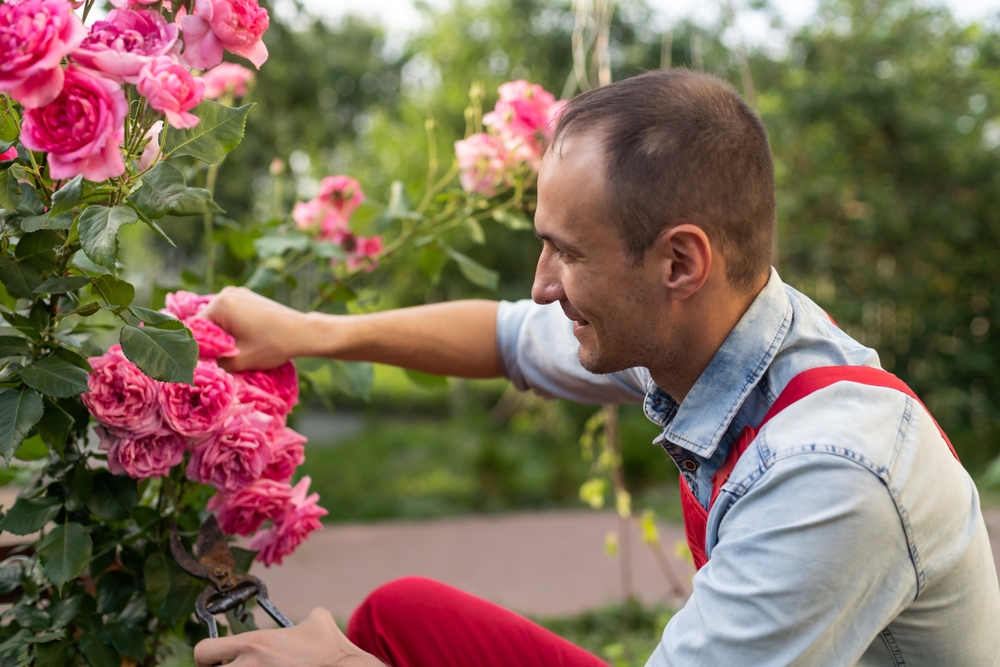 shutterstock_2173741757