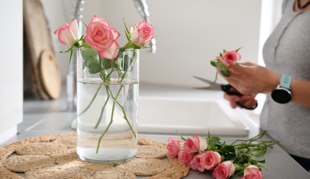 shutterstock_2708969643