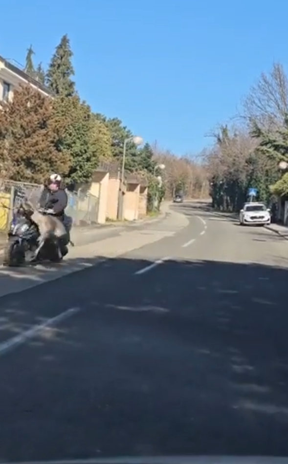 Screenshot 2026 02 27 182934