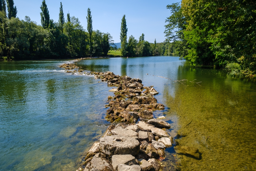 shutterstock_2516404611