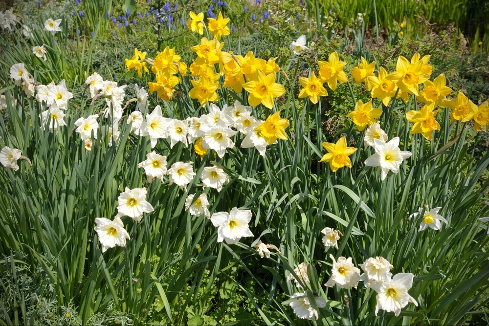 shutterstock_2587302481