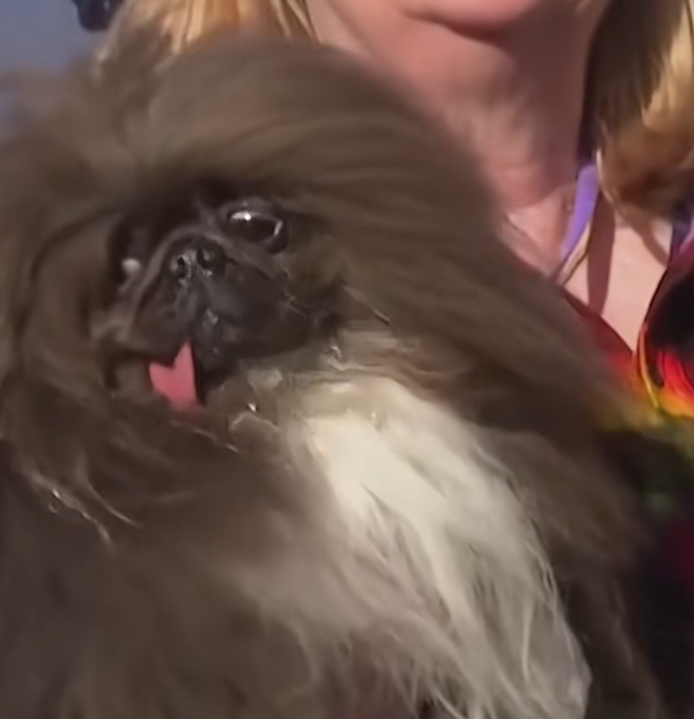 Screenshot 2026 03 13 074359