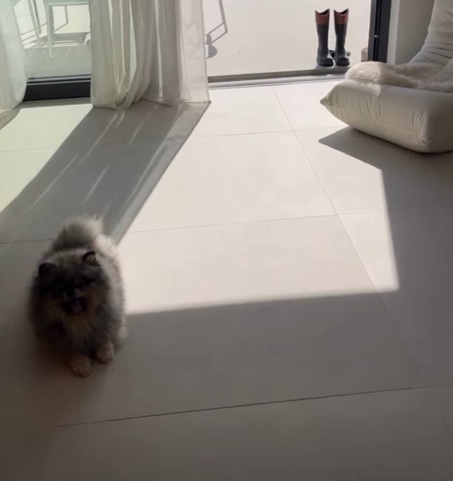 Screenshot 2026 03 16 073717