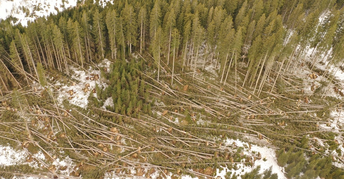 Screenshot 2026 03 30 161352