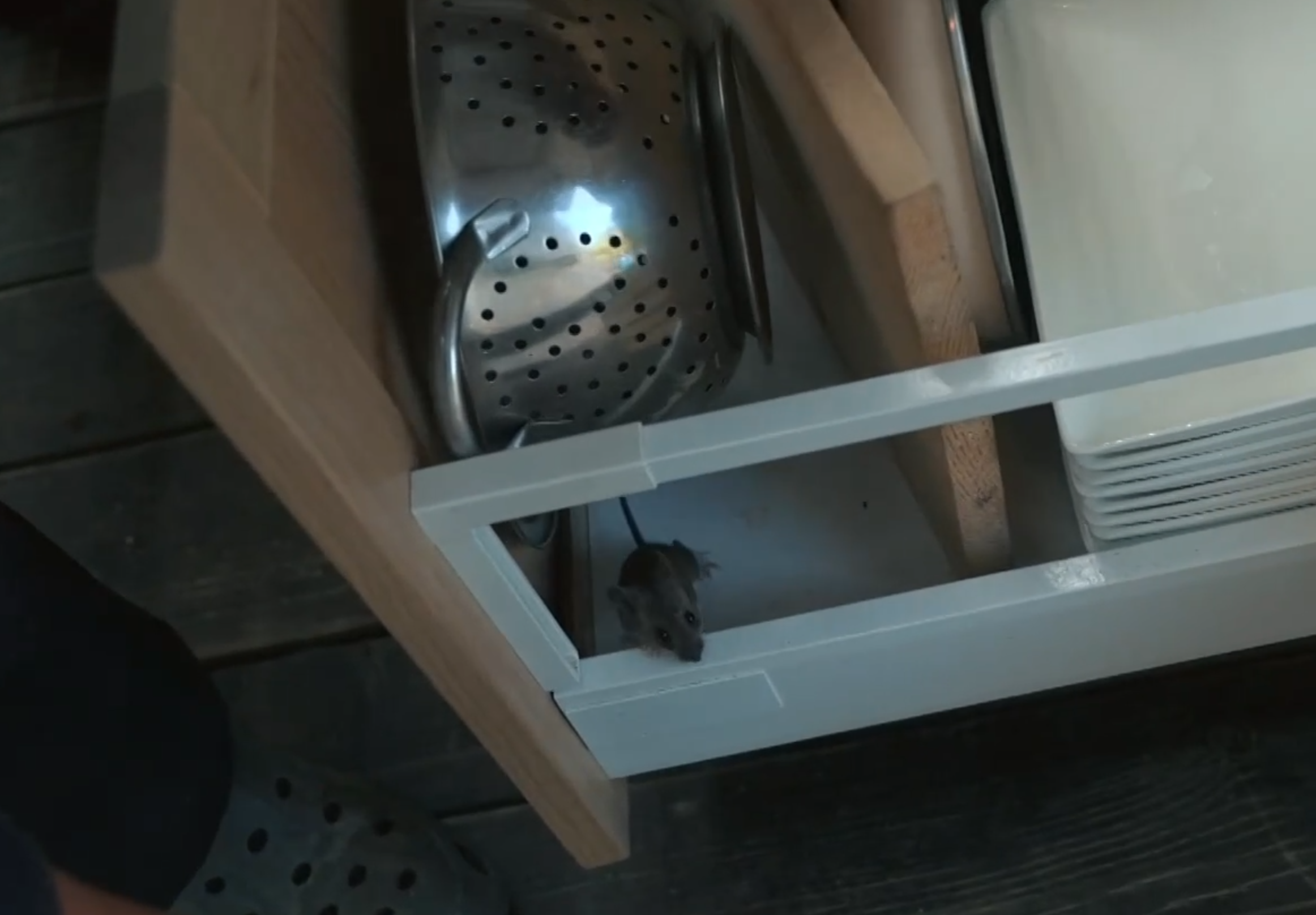 Screenshot 2026 03 30 202137