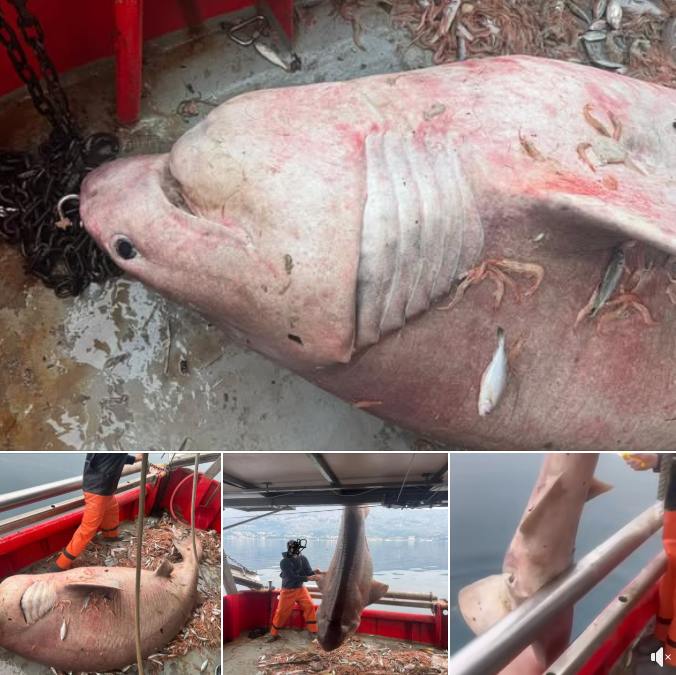 Screenshot 2026 04 02 120550