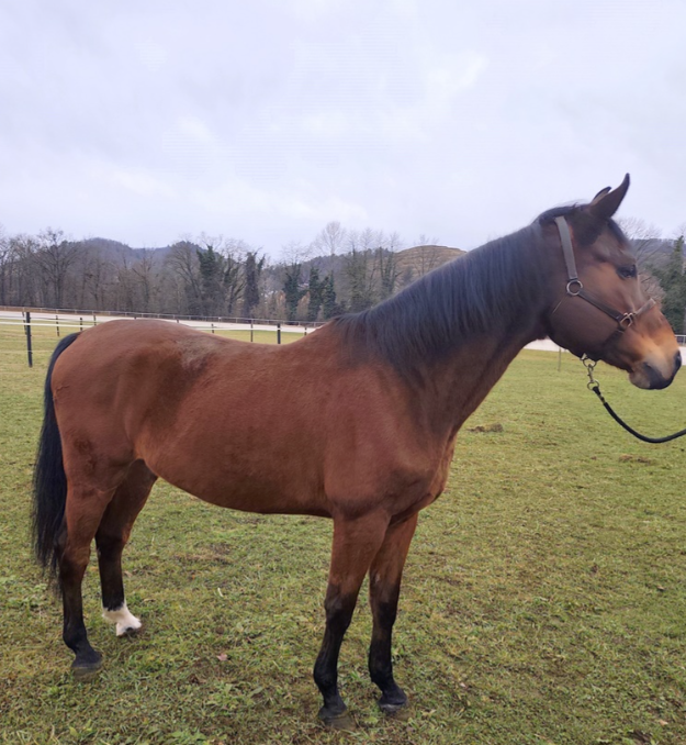 Screenshot 2026 04 05 074927