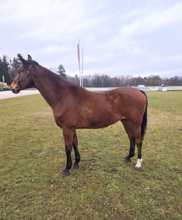 Screenshot 2026 04 05 074918