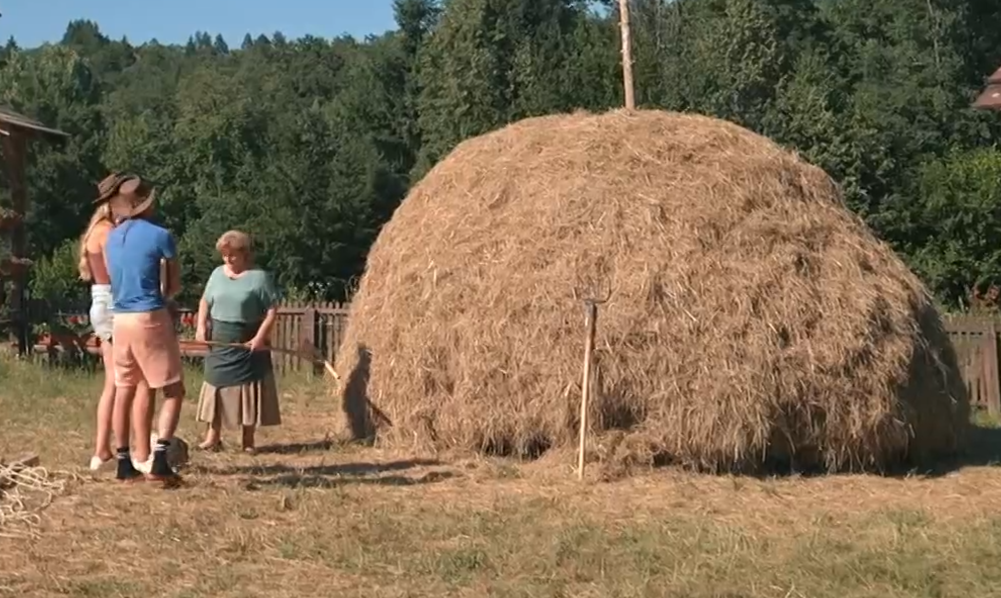 Screenshot 2026 04 06 204649