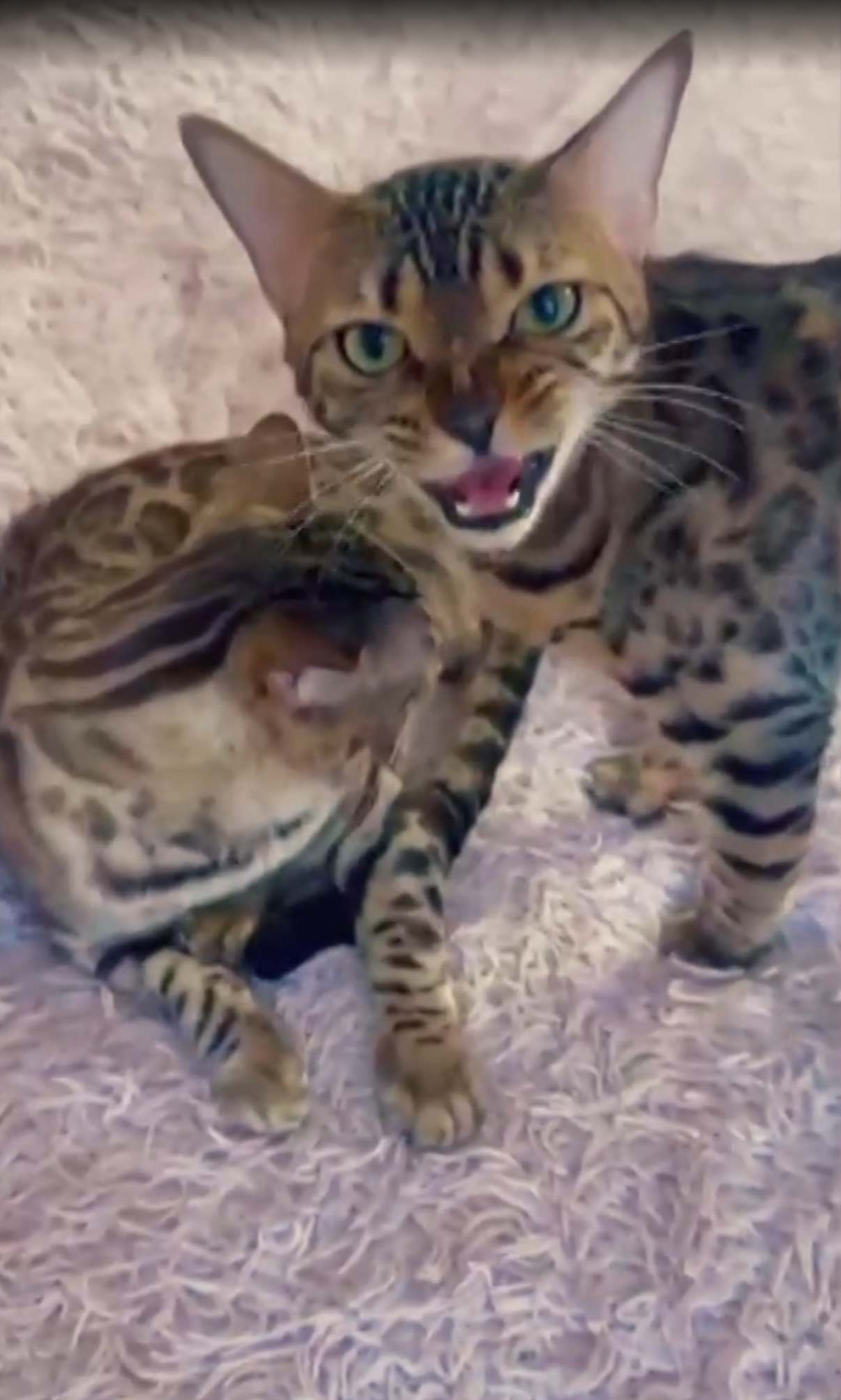 Screenshot 2026 04 22 173939