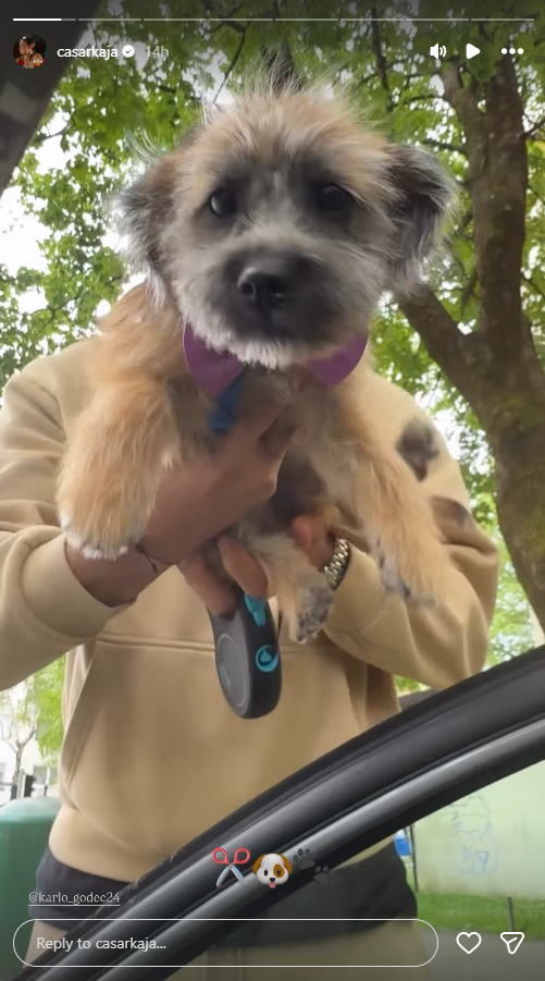 Screenshot 2026 04 23 054543