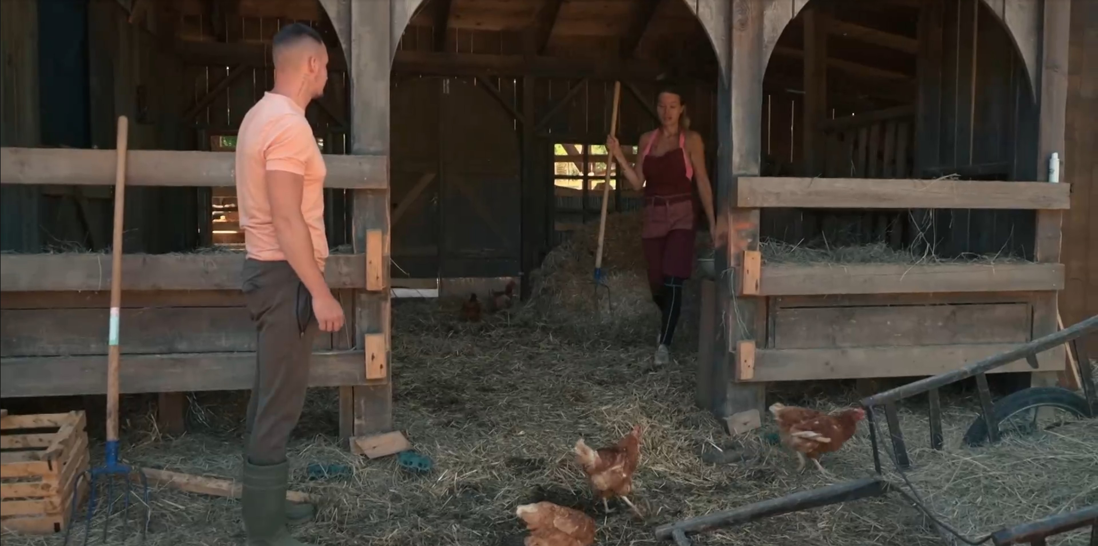 Screenshot 2026 04 24 063748