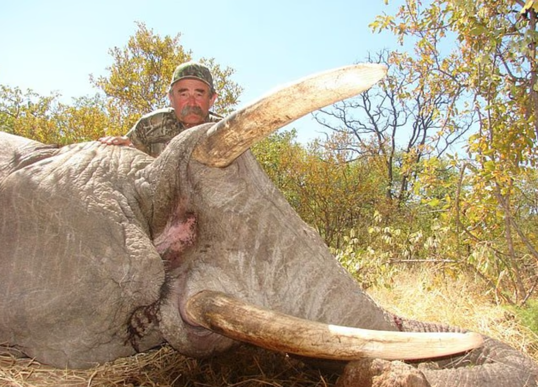 Screenshot 2026 04 25 065648