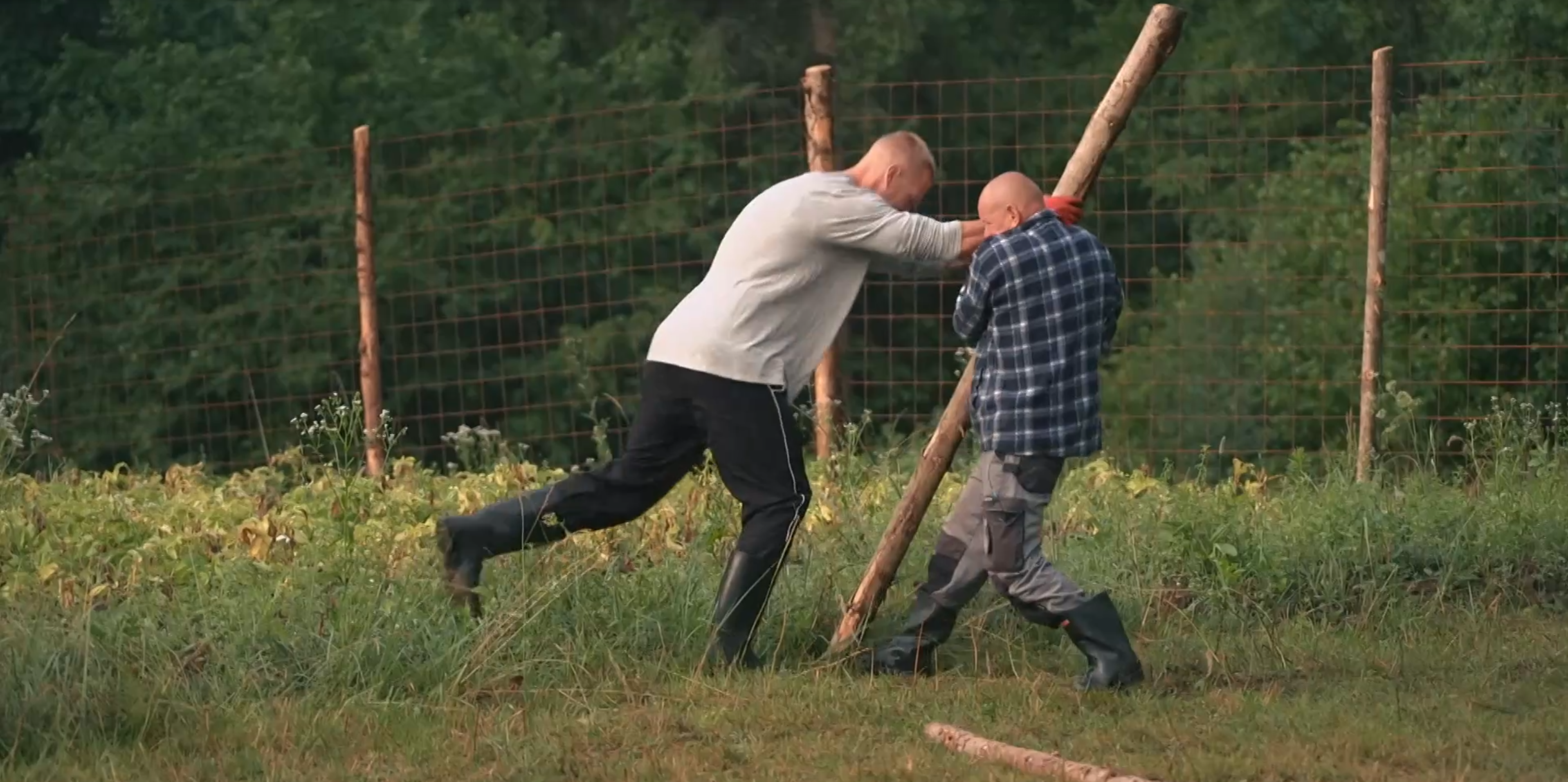 Screenshot 2026 04 28 062458