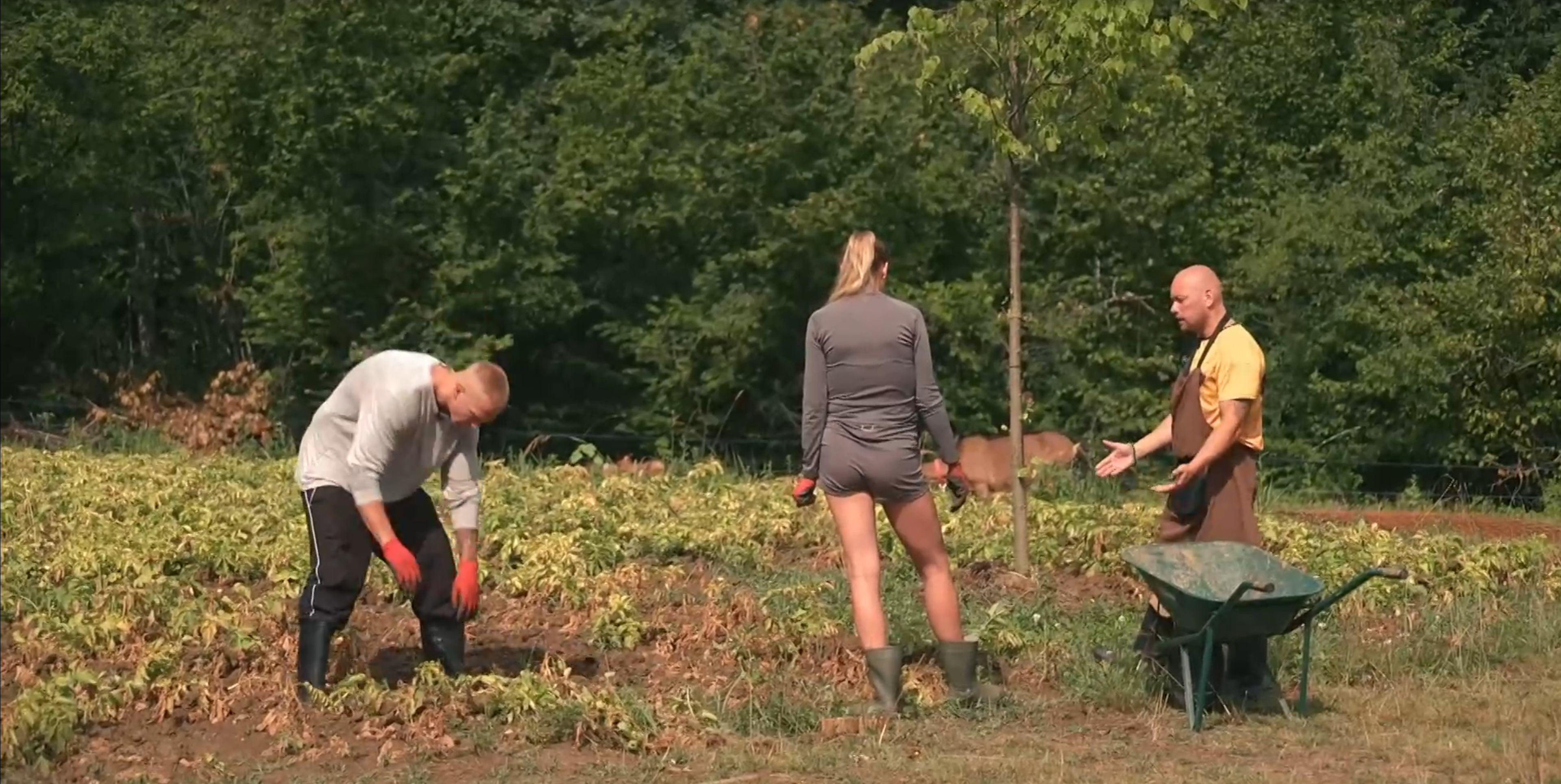 Screenshot 2026 04 28 142723