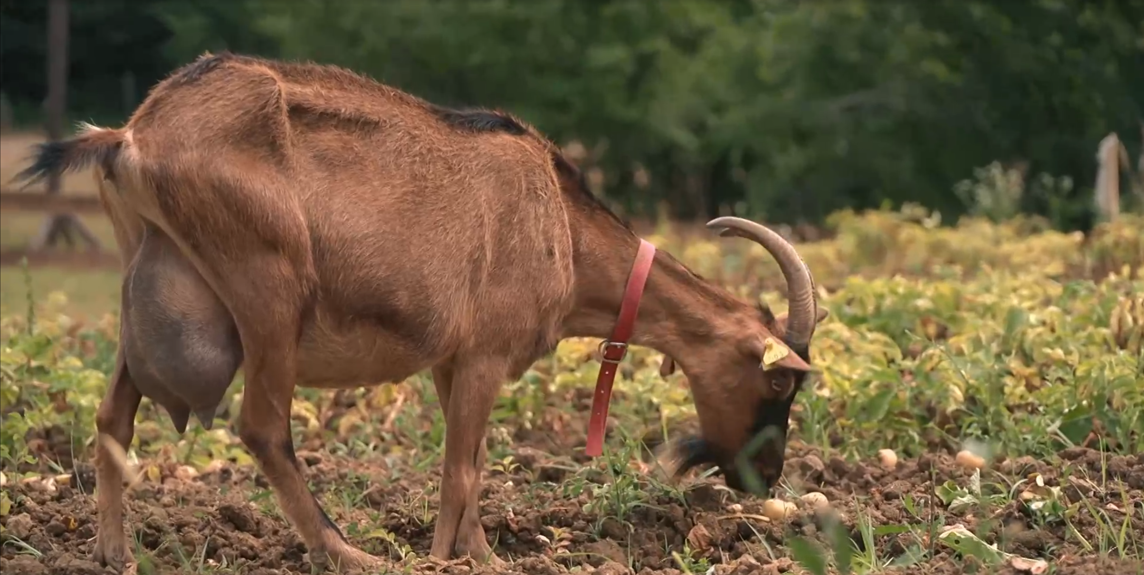 Screenshot 2026 04 28 212323