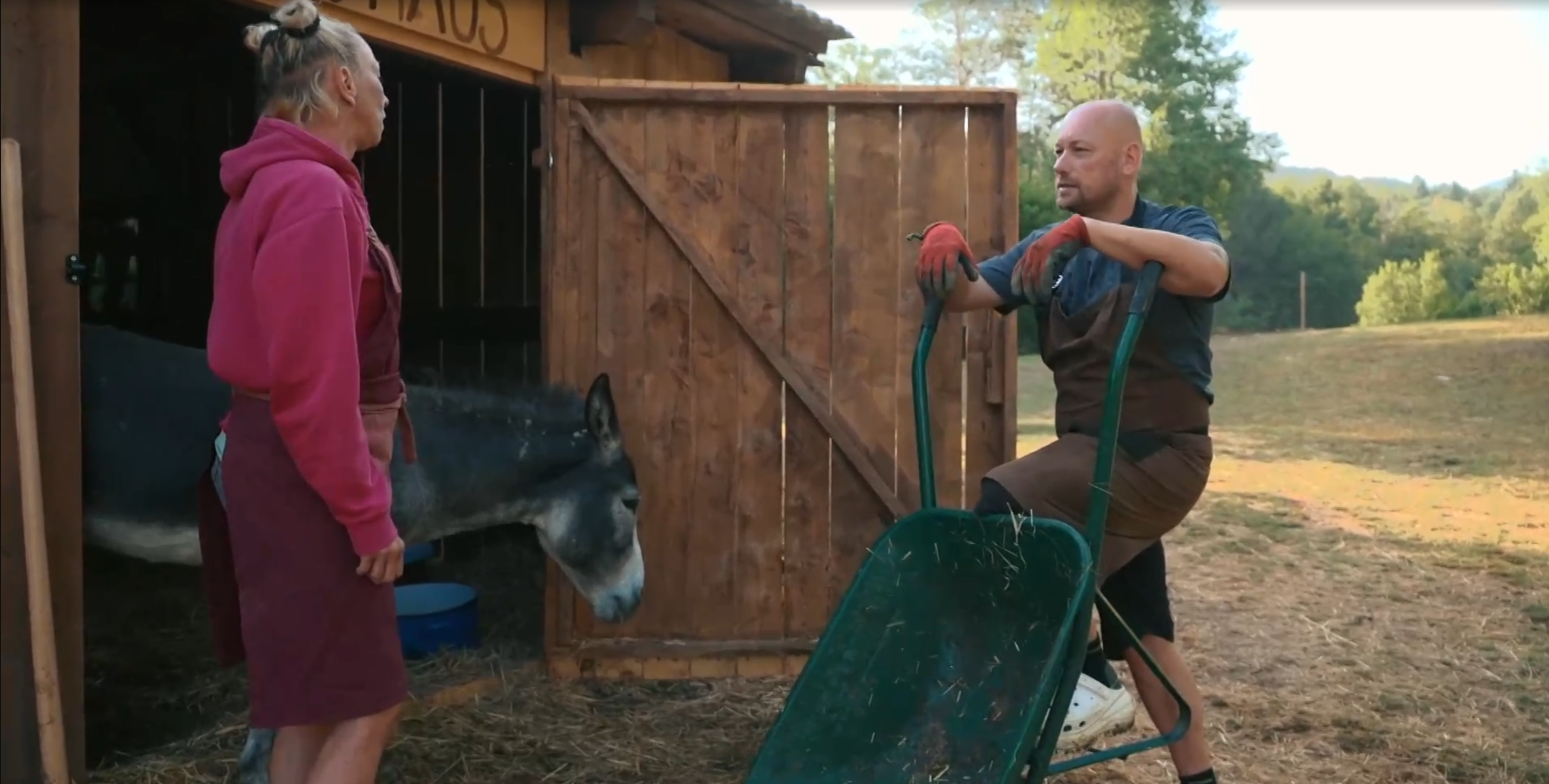 Screenshot 2026 04 29 065649