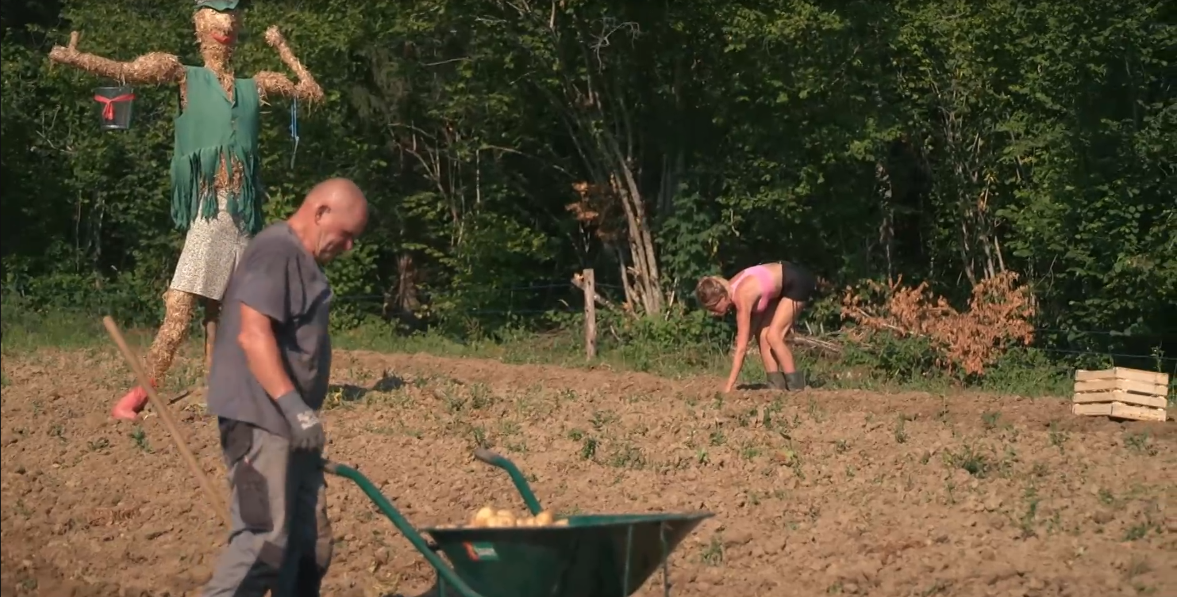 Screenshot 2026 04 29 065728