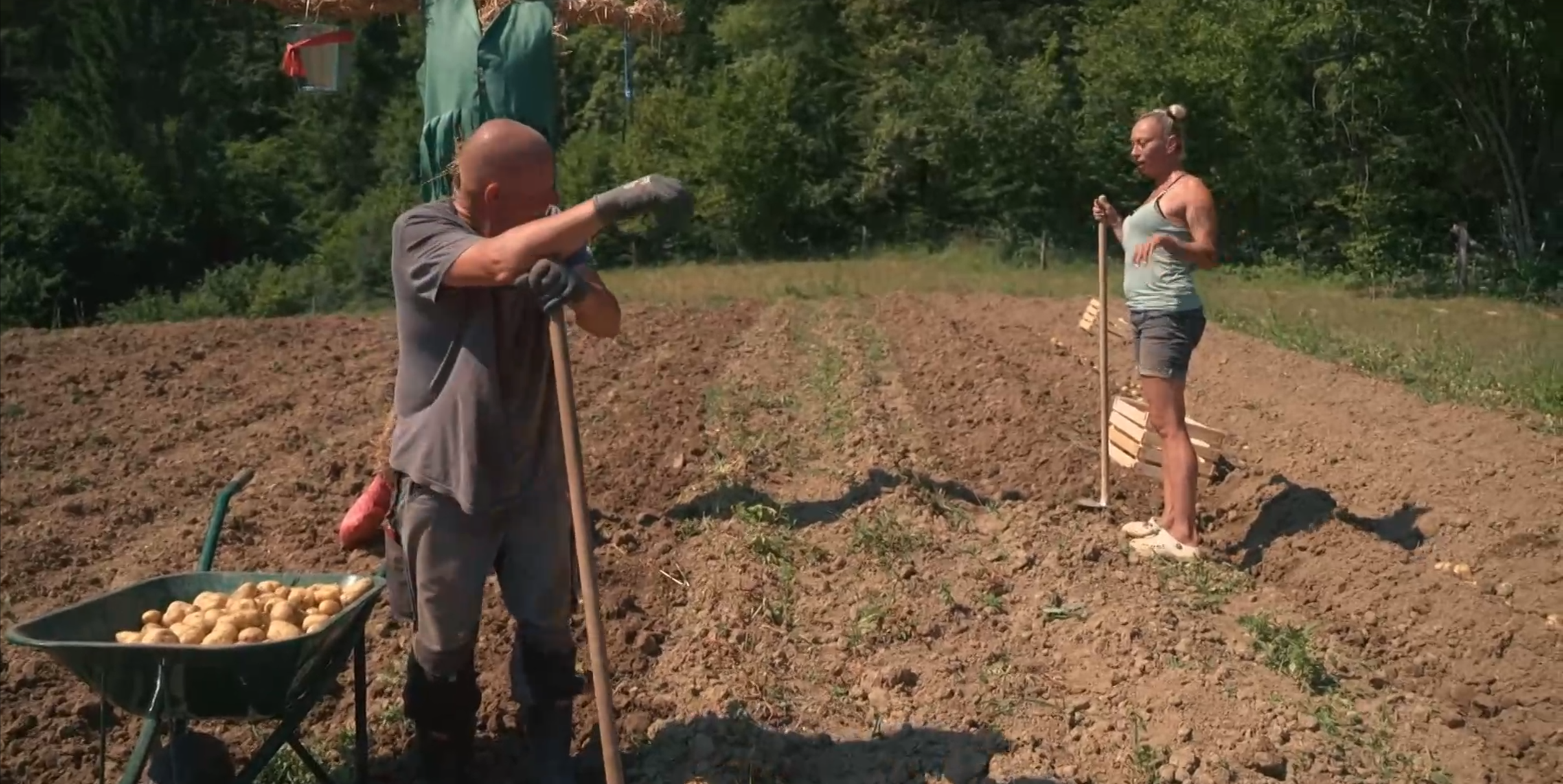 Screenshot 2026 04 29 152149