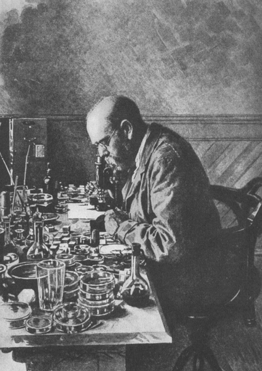 Robert Koch v svojem laboratoriju - Foto: Wikimedia / Javna domena