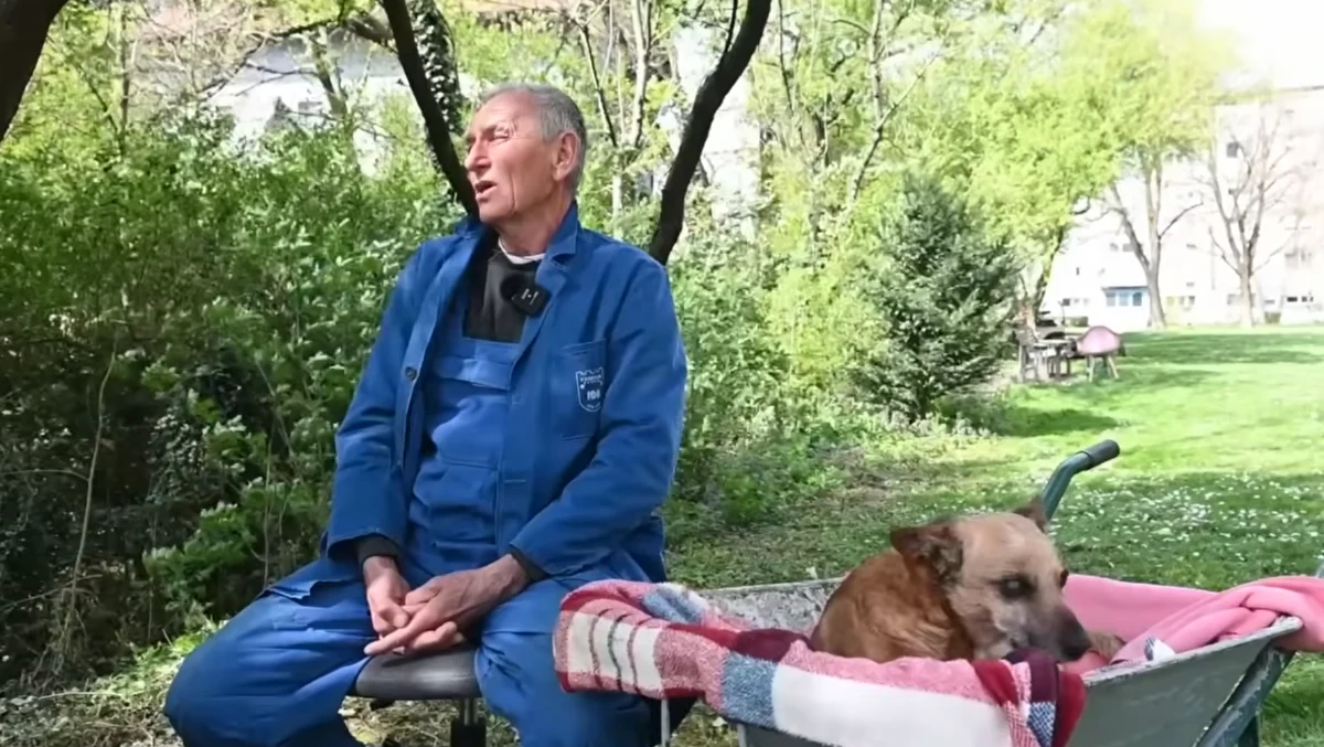 PRAVA ljubezen: Upokojenec Ivica svojega kužka Bobija prevaža v samokolnici, ker ta ne more več hoditi