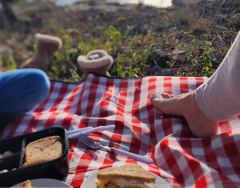 Iris Mulej na družinskem pikniku v naravi z otrokoma - Foto: Facebook/Iris Mulej
