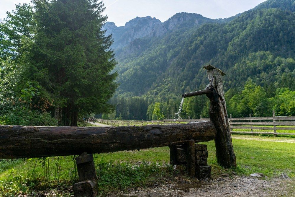 Robanov kot mirna alpska dolina v Sloveniji - Foto: Shutterstock