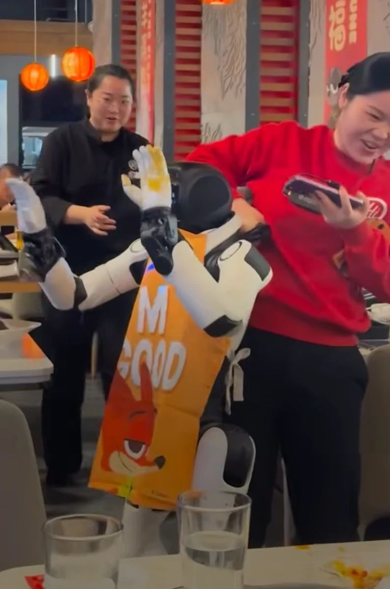 Robot v kitajski restavraciji izgubi nadzor - Foto: Youtube/trtworld